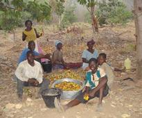 Small holder farmers in Upper West Region attend input fairs