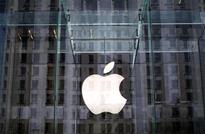 Apple used Irish units to cut tax bill: Senate