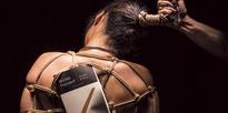 Scholars in Bondage