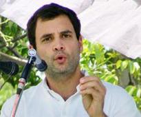 Rahul effect: UP govt clears land for Amethi Institute of Hotel Management