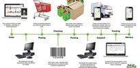 Here is how Zopnow delivers orders in 3 hours in Bangalore