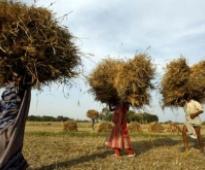 IGNOU offers course on rural development