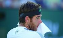 Murray, Del Potro pull out of French Open