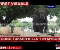 Elephants crush two to death in Jharkhand