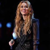 Miley Cyrus and Liam Hemsworth 'postpone wedding'