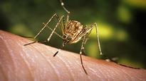 Fight against West Nile starts today Jun 10, 2013 7:27 AM ET The Windsor-Essex County Health Unit starts its West Nile virus surveillance program today.