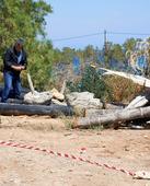 Dutchman held for stabbing boy in Greece