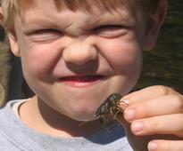 Forest Service awards nearly $800,000 to units working to connect youth to nature