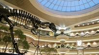 Top 50 ways to kill time at airports
