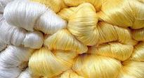 Set up silk yarn bank at Sualkuchi: Assam govt told