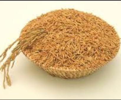 Withdraw export duty on de-oiled rice bran