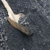 Coal India, NMDC look extremely cheap, says Arora