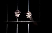 Man arrested for assault of 5-year-old girl in India