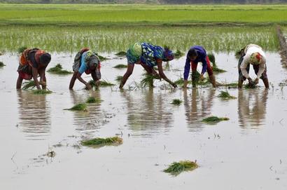 'Every farmer in India will oppose the BJP' 'Every farmer in India will oppose the BJP'