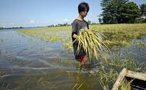 Q&A: Least developed countries chief on UN climate talks