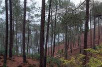 DON'T MISS: Kasar Devi, a piece of paradise