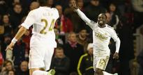 Swan Dyer not set to fly away