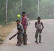 It's not just cricket: Indians have their say on Australia