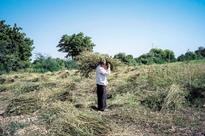 India resumes futures trading in guar gum as crop reaches record