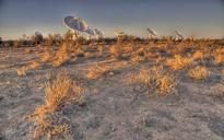 Radio astronomy publication a milestone for SA
