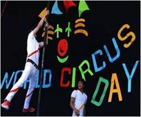 Artists Complain That Ban on Wild Animals Brings Down Circus Industry