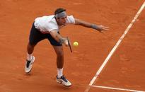 Del Potro pulls out of French Open — reports