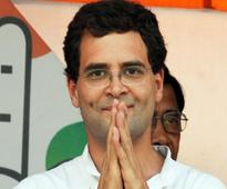 Rahul Gandhi's 43rd birthday celebrated outside Congress headquarters