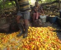 Goa's Feni manufacturing process may be patented
