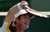 Murray and Del Potro out of French Open