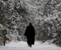 Snowfall in Himachal hills