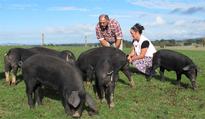 Free range farmers learn as they go
