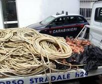 Copper thieves arrested