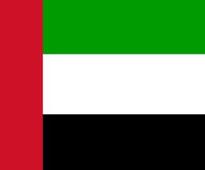 UAE tries 30 for illegal Brotherhood cell
