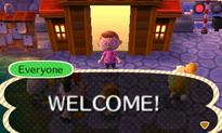 The Animal Crossing: New Leaf Diaries - Day 14