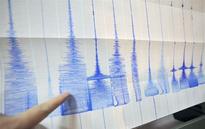 Strong quake strikes off Tonga