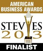 INSZoom Selected as Finalist for the Prestigious 2013 American...