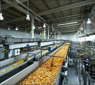 Food processing sector got Rs 6,198-crore FDI in less than 3 years