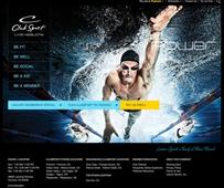 Drupal Community Awards Best Sports Site of 2013 to Project6 Design
