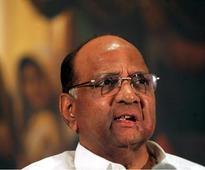 Pawar wants India to export more FCI wheat owing surplus