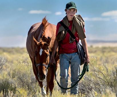 Will these films win an Oscar? Will these films win an Oscar?
