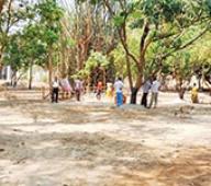 Garden dedicated to Tagore kin