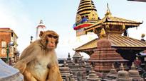 Kathmandu's charisma