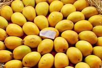 Lucknow: Mango named after Delhi braveheart