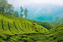 Kerala Church to move UN over Western Ghats