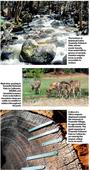 Yosemite for beginners