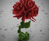 Tiny crystal flowers grow in a beaker