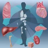 India setting up central coordinating agency on organ transplants