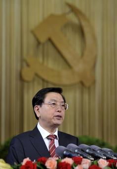 Bo Xilai's successor elected to head China's parliament