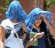 Heat wave continues to sweep Punjab, Har..
