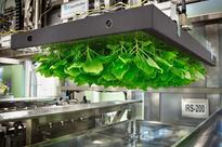 GE alliance awarded contract to design plant-based manufacturing facility in Brazil